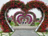 Imagine atasata: Dubai-Miracle-Garden-2.jpg